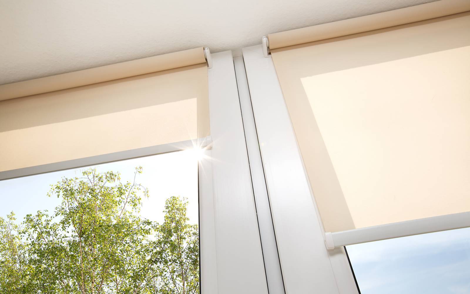 image non contractuelle 